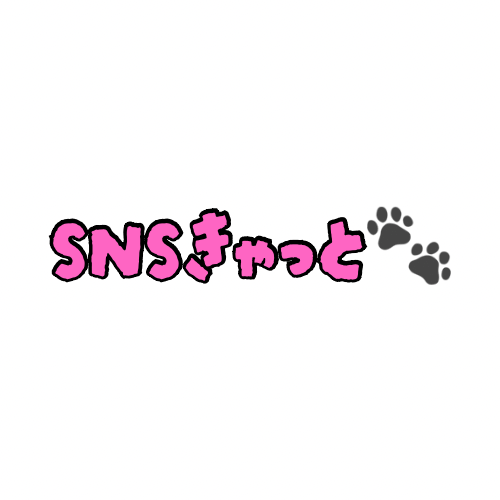 SNSキャット